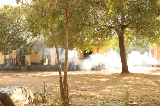 Rural area India