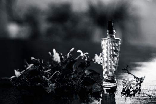 Close up of spray or perfume of Indian jasmine flower or juhi or Jasminum Auriculatum on wooden surface in a small bottle with raw flowers.