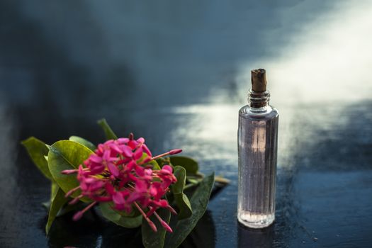 Close up of red colored pentas flower or Egyptian Star Flower or jasmine on wooden surface with its extracted spray or perfume in a transparent glass bottle.