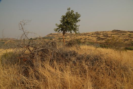 Rural area India