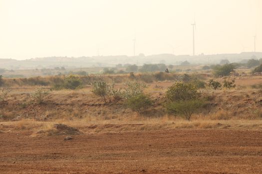Rural area India