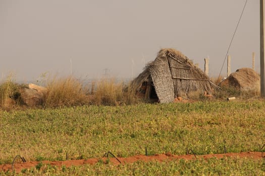 Rural area India