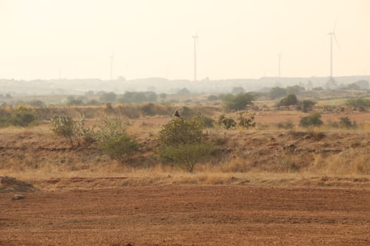 Rural area India