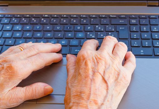 the hands of an elderly woman working at the computer