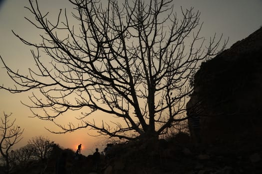 Silhouette of people on hill