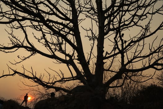 Silhouette of people on hill