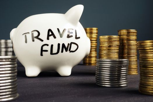 Travel fund. Piggy bank and coins. Money for vacation.