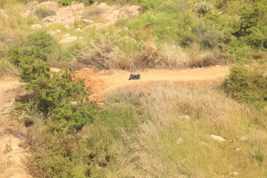 Rural area India