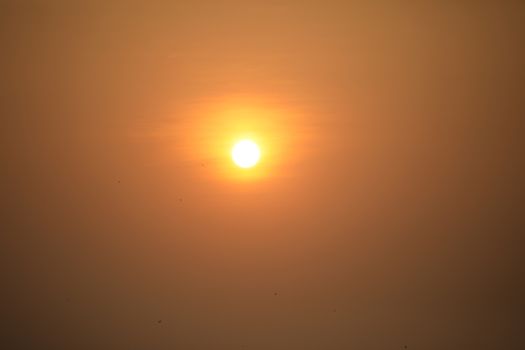 Beautiful Summer Sunset