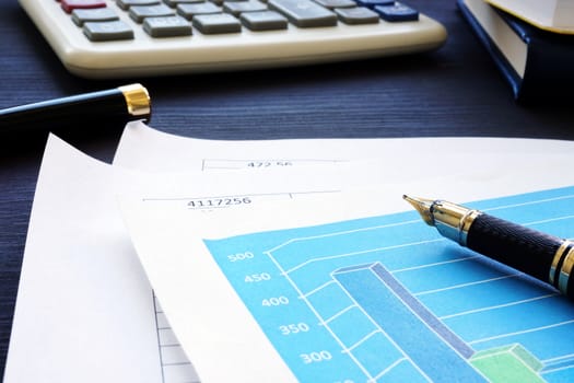Business documents, pen and calculator. Financial audit.