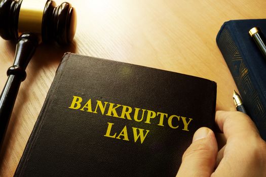 Hands holding Bankruptcy Law in a court.