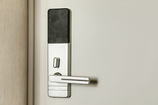 Fragment of the front door with a door handle