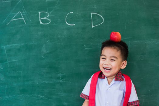 Back to School. Happy Asian funny cute little child boy from kindergarten in student uniform with school bag and red apple on head smiling on green school blackboard, First time to school education