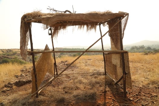 Rural area India
