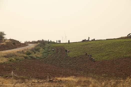 Rural area India