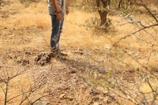 Rural area India