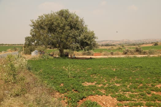 Rural area India