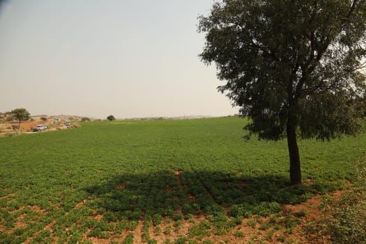 Rural area India