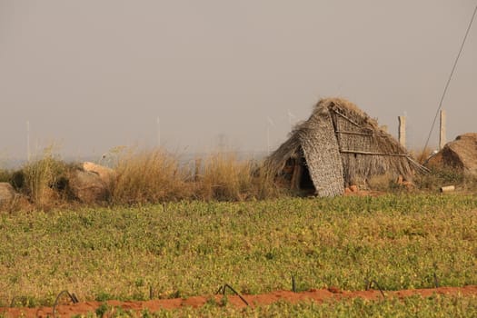 Rural area India