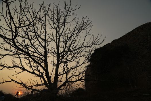Heritage Fort Rajasthan India