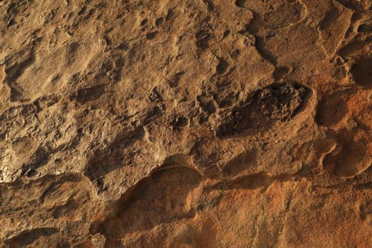 Rock Hill Texture at rural area