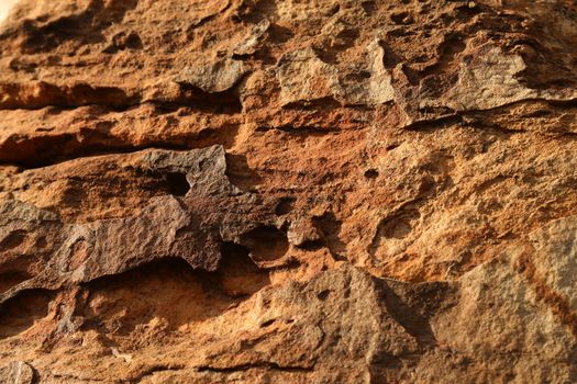Rock Hill Texture