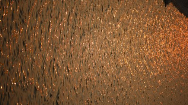 Rock Hill Texture