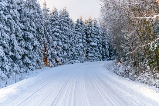 Winter landscape - snow covered mountain road in the forest on a cold and sunny morning