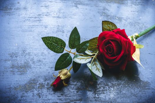 Red rose flower on rustic floor. Nature still life love romantic background theme. Wallpaper web banner design decoration for friendship and valentine’s day. Copy space room for text for massage.