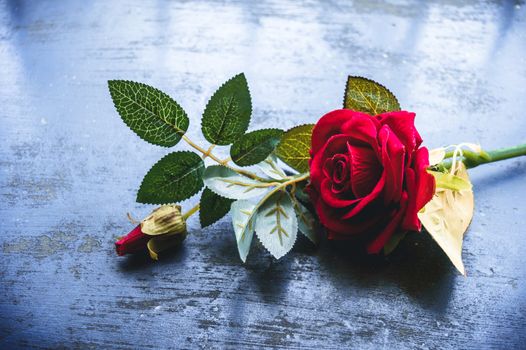 Red rose flower on rustic floor. Nature still life love romantic background theme. Wallpaper web banner design decoration for friendship and valentine’s day. Copy space room for text for massage.