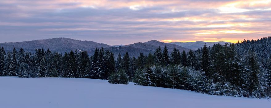 Picturesque panorama of winter mountains and forest at sunrise in the morning (high resolution photomerge panorama).