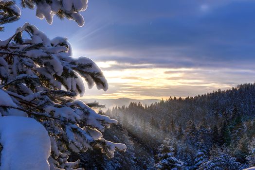 Beautiful landscape of winter mountains and forest at sunrise in the morning.