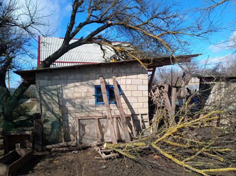 A windbroken apricot tree fell on the shed and broke the roof.
