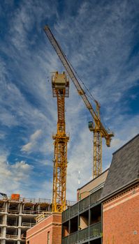 Yellow cranes at new construction sites in Halifax