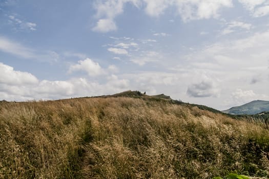 Road from Widelki to Tarnica through Bukowe Berdo in the Bieszczady Mountains in Poland