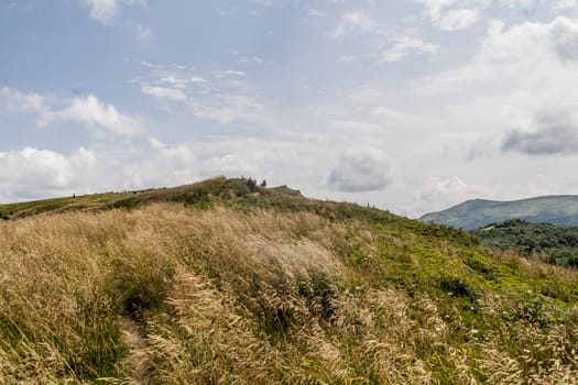 Road from Widelki to Tarnica through Bukowe Berdo in the Bieszczady Mountains in Poland