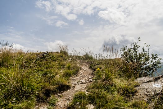 Road from Widelki to Tarnica through Bukowe Berdo in the Bieszczady Mountains in Poland