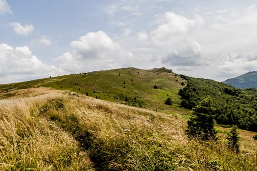 Road from Widelki to Tarnica through Bukowe Berdo in the Bieszczady Mountains in Poland