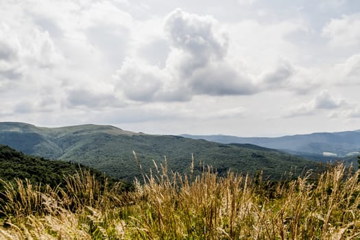 Road from Widelki to Tarnica through Bukowe Berdo in the Bieszczady Mountains in Poland