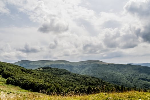 Road from Widelki to Tarnica through Bukowe Berdo in the Bieszczady Mountains in Poland