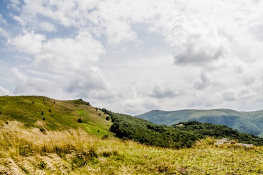 Road from Widelki to Tarnica through Bukowe Berdo in the Bieszczady Mountains in Poland