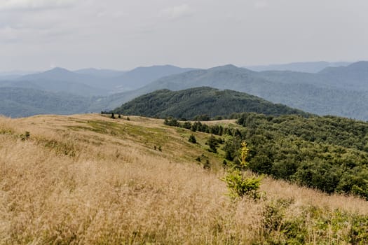 Road from Widelki to Tarnica through Bukowe Berdo in the Bieszczady Mountains in Poland