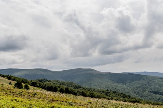 Road from Widelki to Tarnica through Bukowe Berdo in the Bieszczady Mountains in Poland