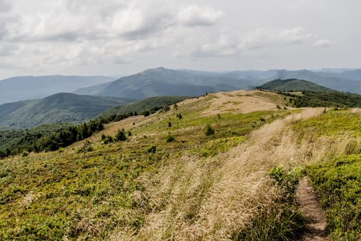 Road from Widelki to Tarnica through Bukowe Berdo in the Bieszczady Mountains in Poland