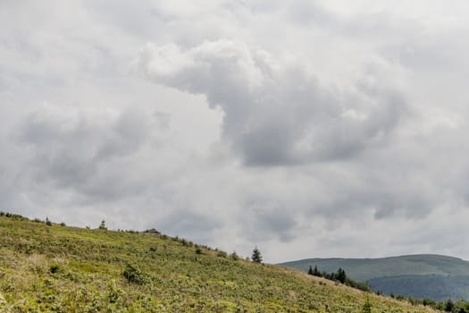 Road from Widelki to Tarnica through Bukowe Berdo in the Bieszczady Mountains in Poland