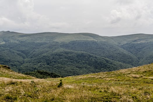 Road from Widelki to Tarnica through Bukowe Berdo in the Bieszczady Mountains in Poland