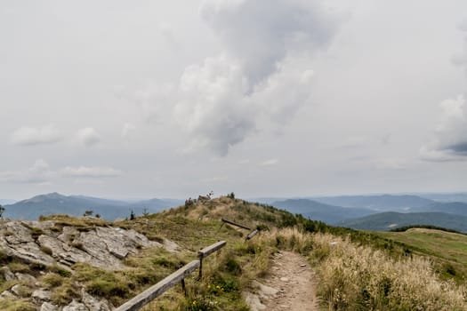 Road from Widelki to Tarnica through Bukowe Berdo in the Bieszczady Mountains in Poland