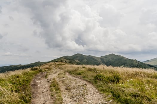 Road from Widelki to Tarnica through Bukowe Berdo in the Bieszczady Mountains in Poland