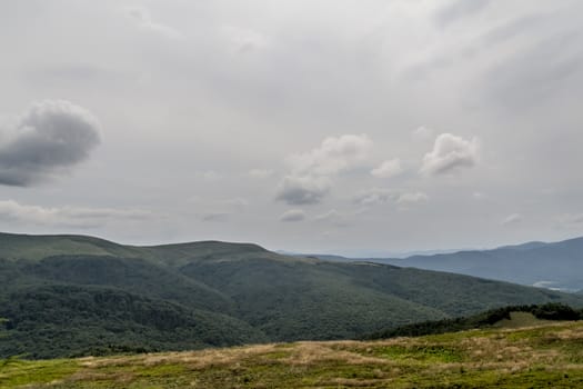 Road from Widelki to Tarnica through Bukowe Berdo in the Bieszczady Mountains in Poland