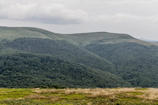 Road from Widelki to Tarnica through Bukowe Berdo in the Bieszczady Mountains in Poland